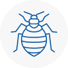 Bed Bug Extermination In Tottington